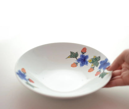 Japan Hasami Ware Zoe Light Large Deep Plate Berry