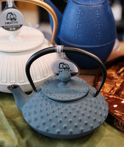 IWACHU Nambu Tekki Cast Iron 350ml Dark Blue Teapot （Gift Box）