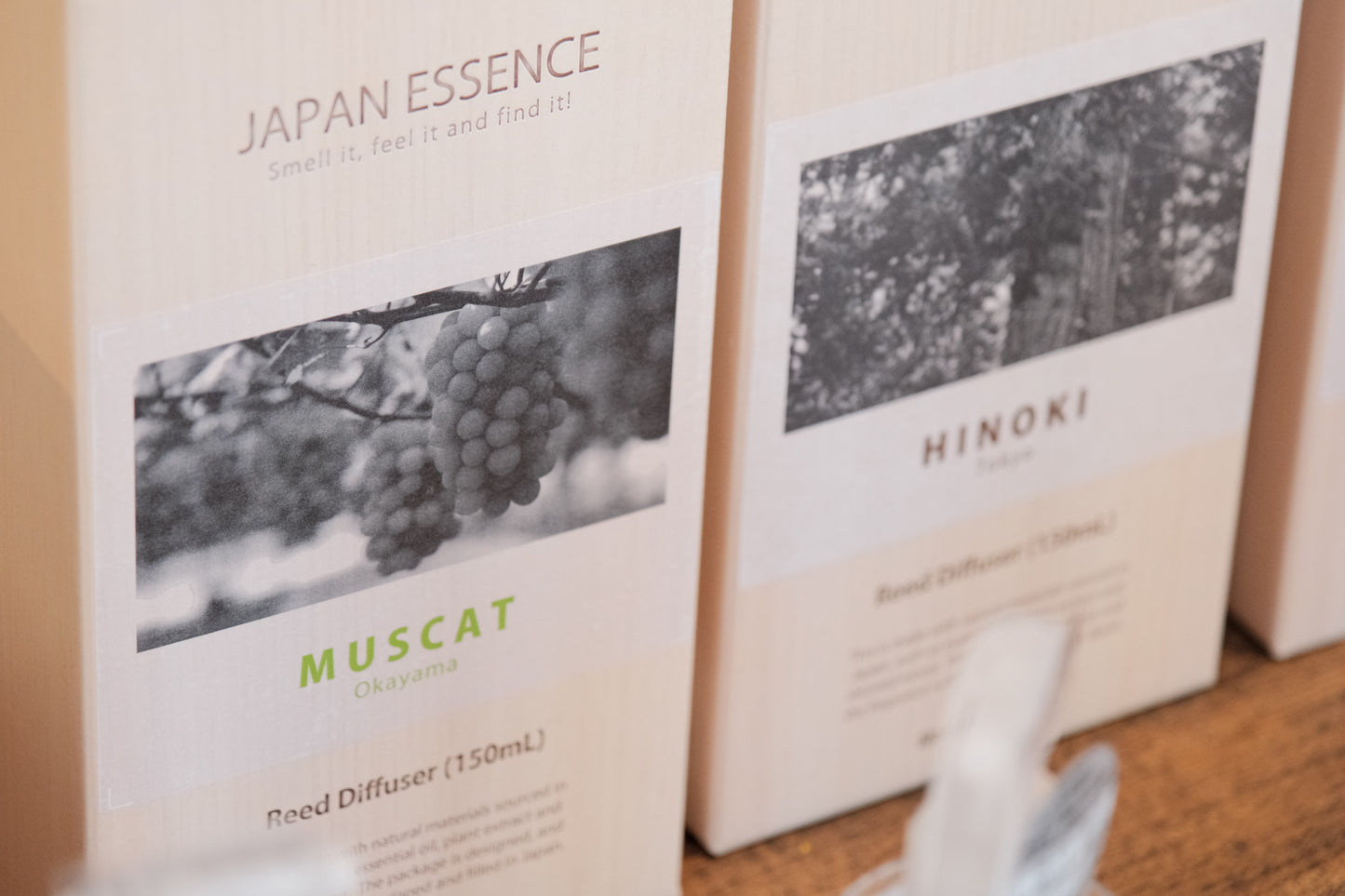 JAPAN ESSENCE Japanese Botanical Reed Diffuser – 150mL