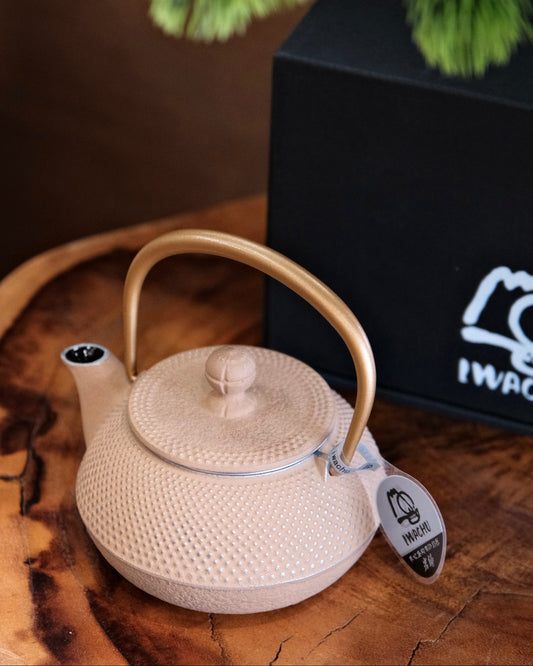 IWACHU Nambu Tekki Cast Iron 320ml Teapot （Gold）