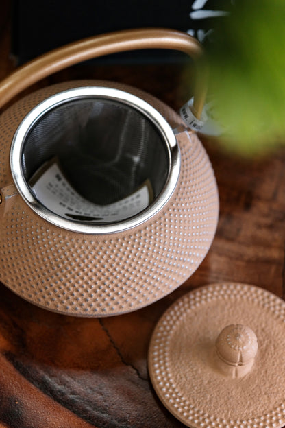 IWACHU Nambu Tekki Cast Iron 320ml Teapot （Gold）