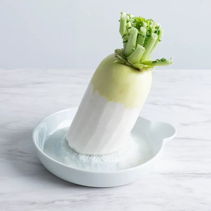 Arita ware radish grater
