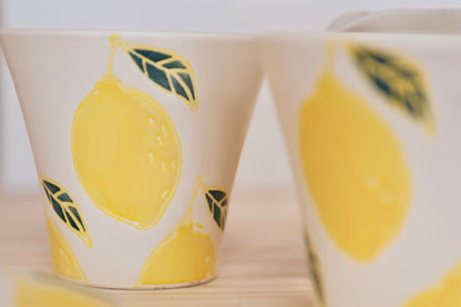 Hasami ware handcraft Lemon Tea set