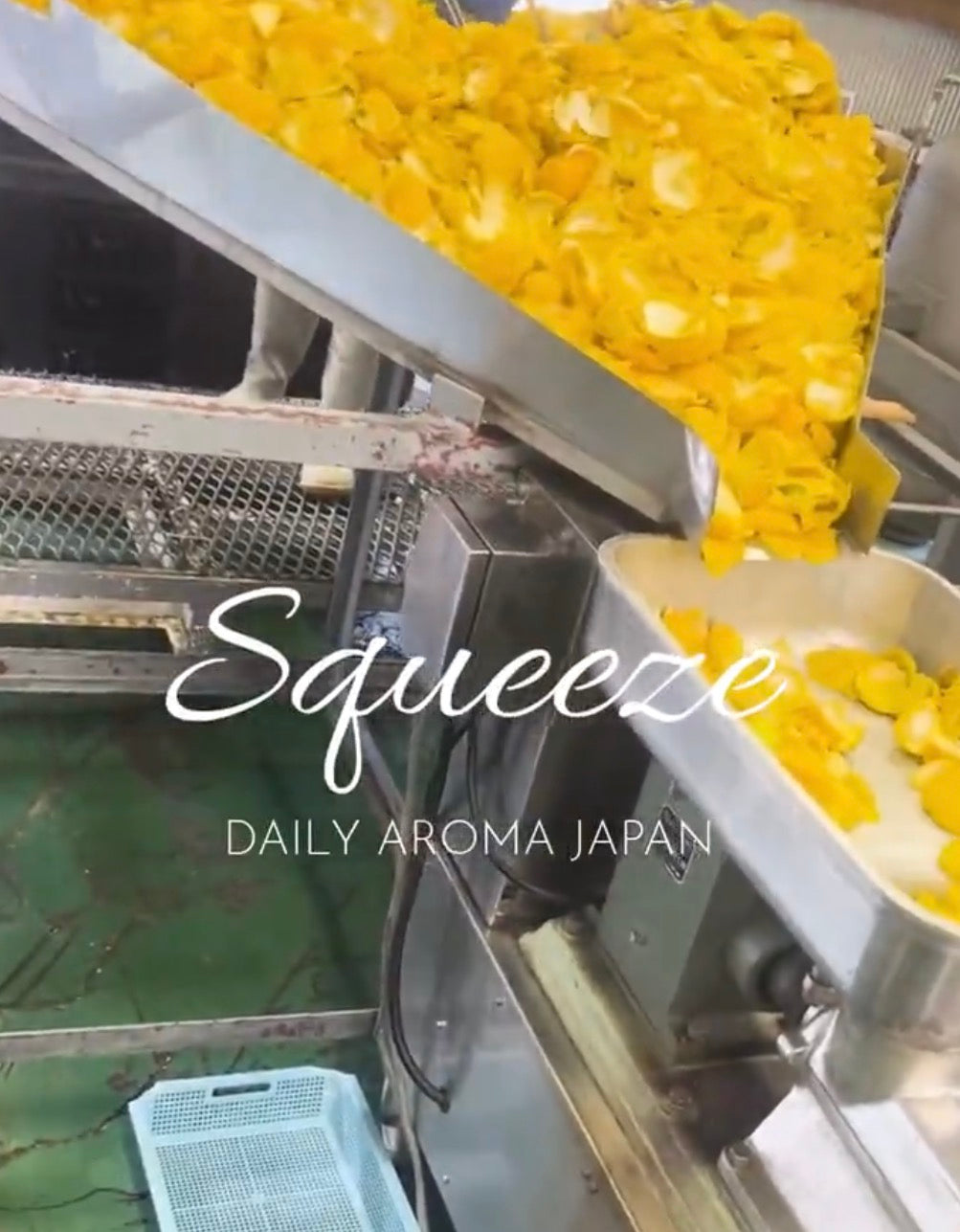 Japan made YUZU Diffuser