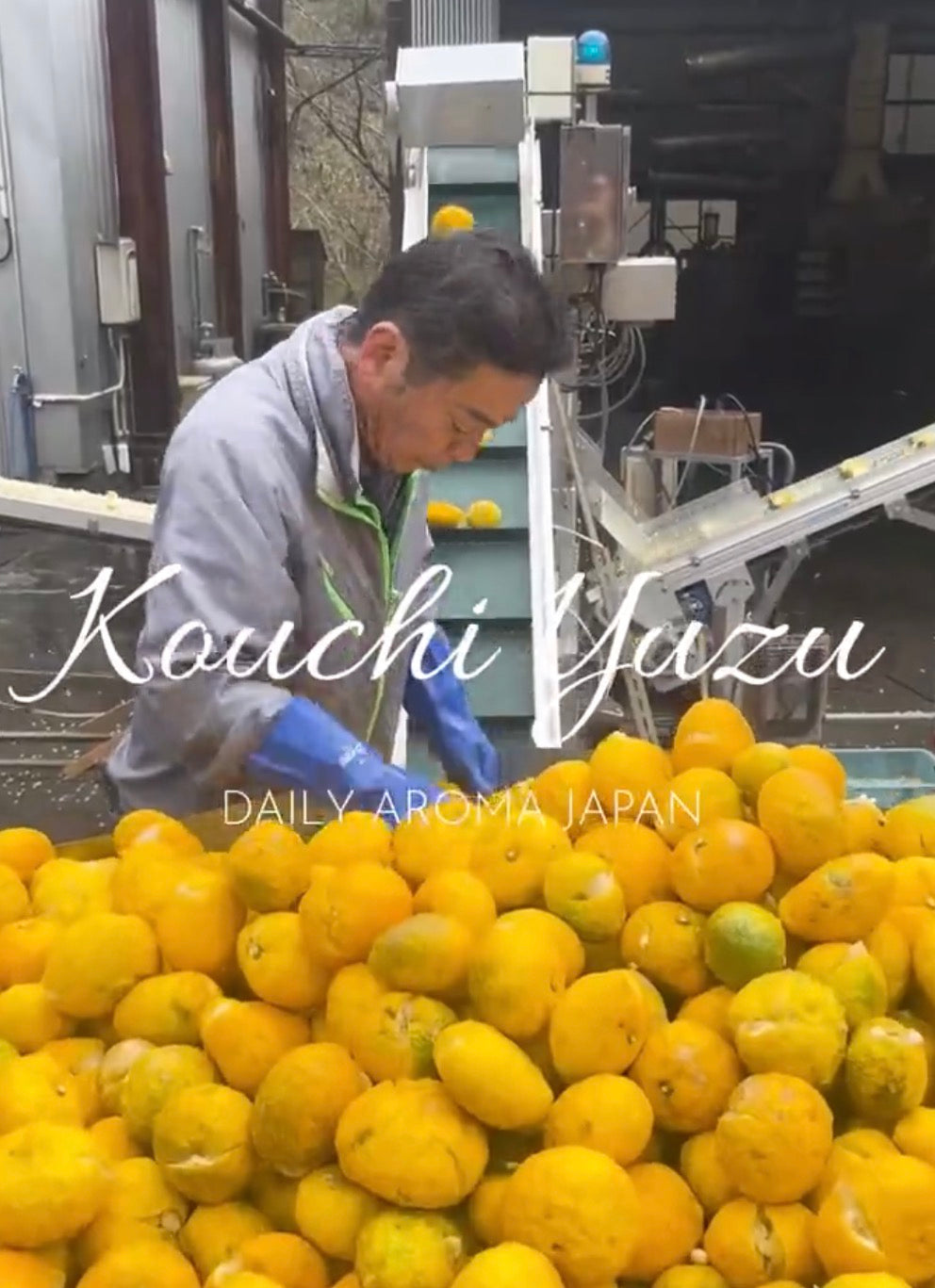 Japan made YUZU Diffuser