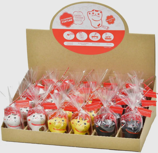 Flowering Fortunes Beckoning Cat Assorted Colors
