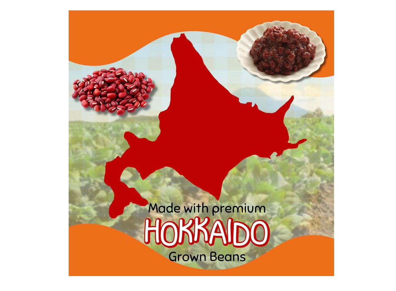 Hokkaido Anpan by Aki Foods Japan – Authentic Japanese Sweets |Artisan Sweet Buns