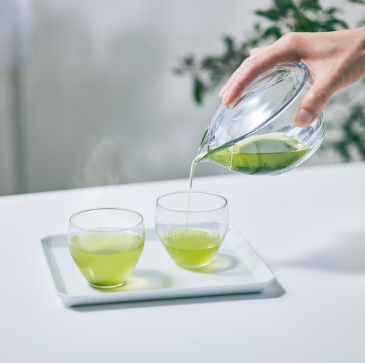 Chasta Kyusu – Tritan Transparent Teapot