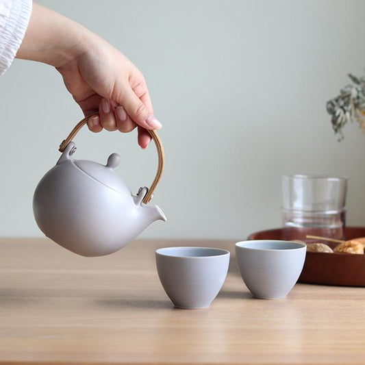 SALIU YUI Earthen Teapot Japanese Tea Pot Gift Set (Gray)