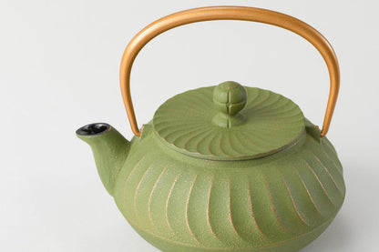 Iwachu Nambu ironware Teapot 5 Wave Gold/WAKAKUSA