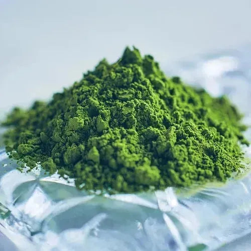 Isuzu Koyamaen 五十铃 Matcha Refill Powder  100g