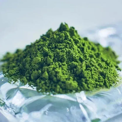 Isuzu Koyamaen 五十铃 Matcha Refill Powder  100g