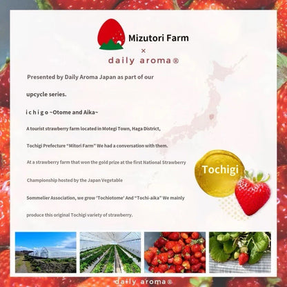 Japan Made Mizutori Farm X Strawberry hand cream limited edition 20g