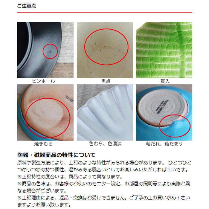 SALIU Japan The Chef Frying Pan