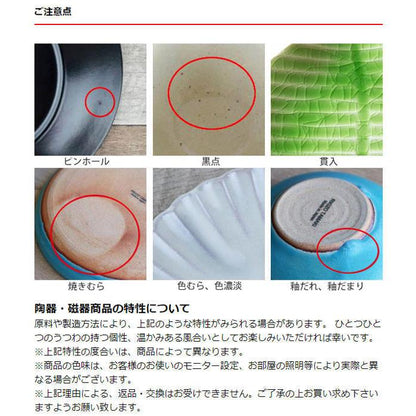 SALIU Japan The Chef Frying Pan