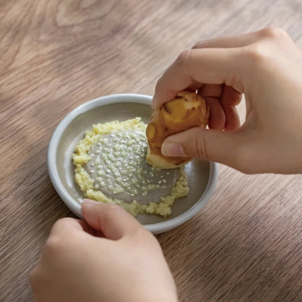 Japan Made Iwami ware Grater/Slicer - Small