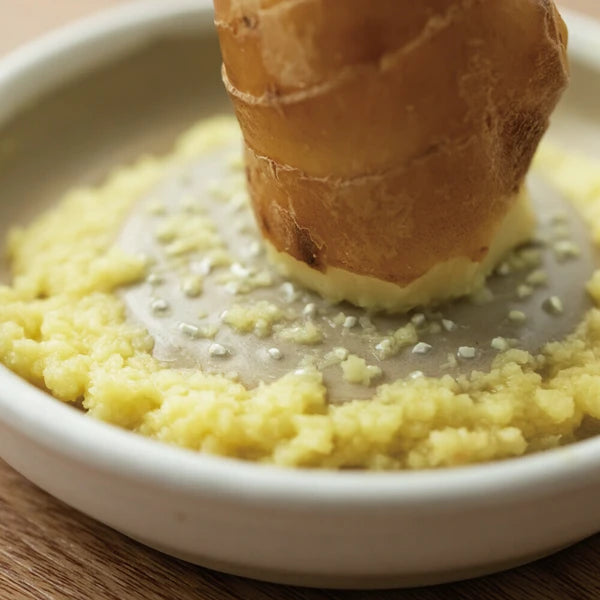 Japan Made Iwami ware Grater/Slicer - Small