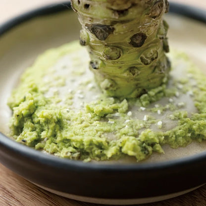 Japan Made Iwami ware Grater/Slicer - Small