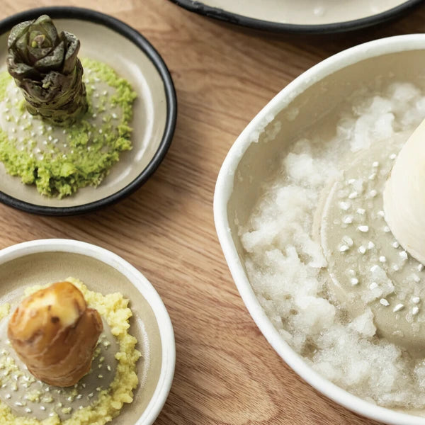 Japan Made Iwami ware Grater/Slicer - Small