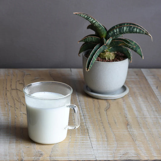 KINTO CAST milk mug 310ml / 10oz