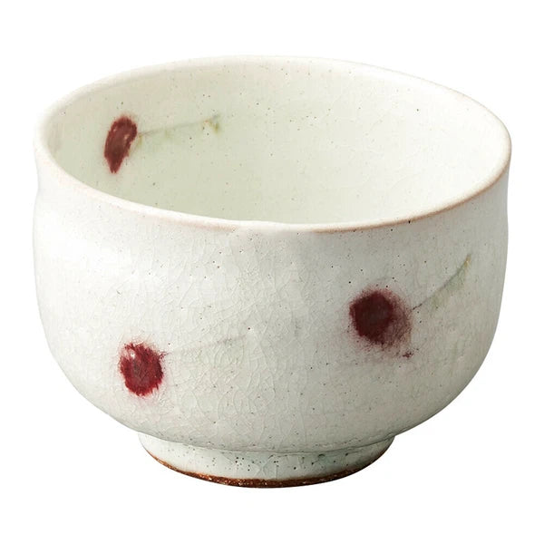 Shigaraki ware Japan Hand Made Matcha Bowl collection