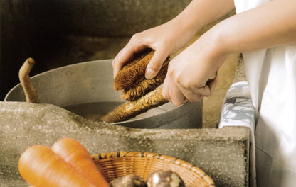 Kame-no-ko Tawashi Vegetable Scrub Brush for cleaning