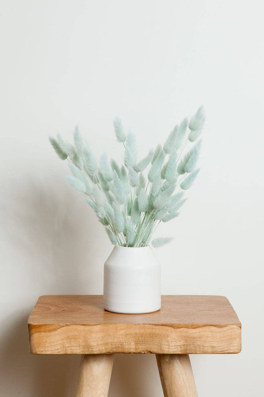 Preserved Blue Bunny Tail (1 stem)