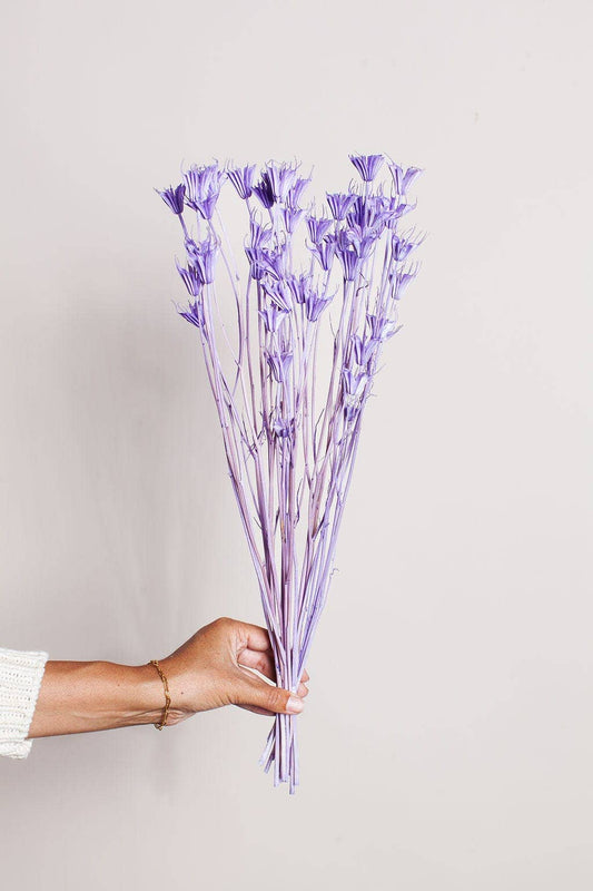Lavender Dried Nigella