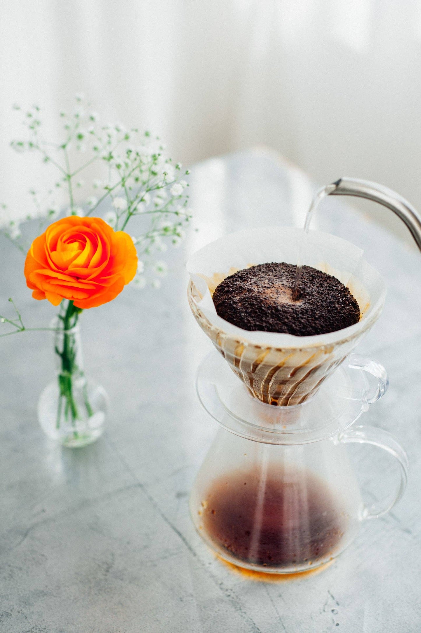 HARIO USA - "Simply Hario" V60 Glass Brewing Kit 600mL