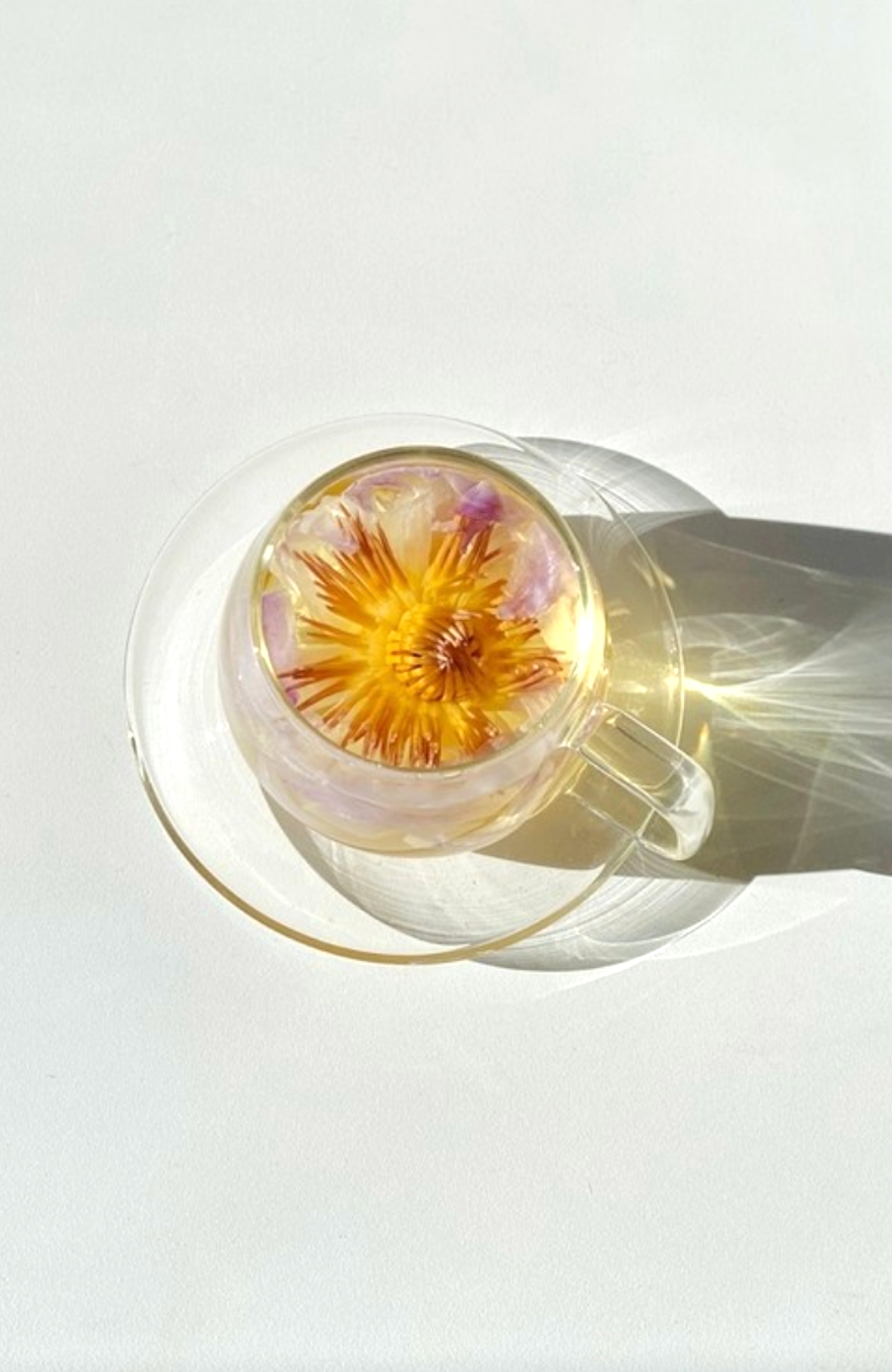 The Qi - Individually Wrapped Flower teas (herbal tea)