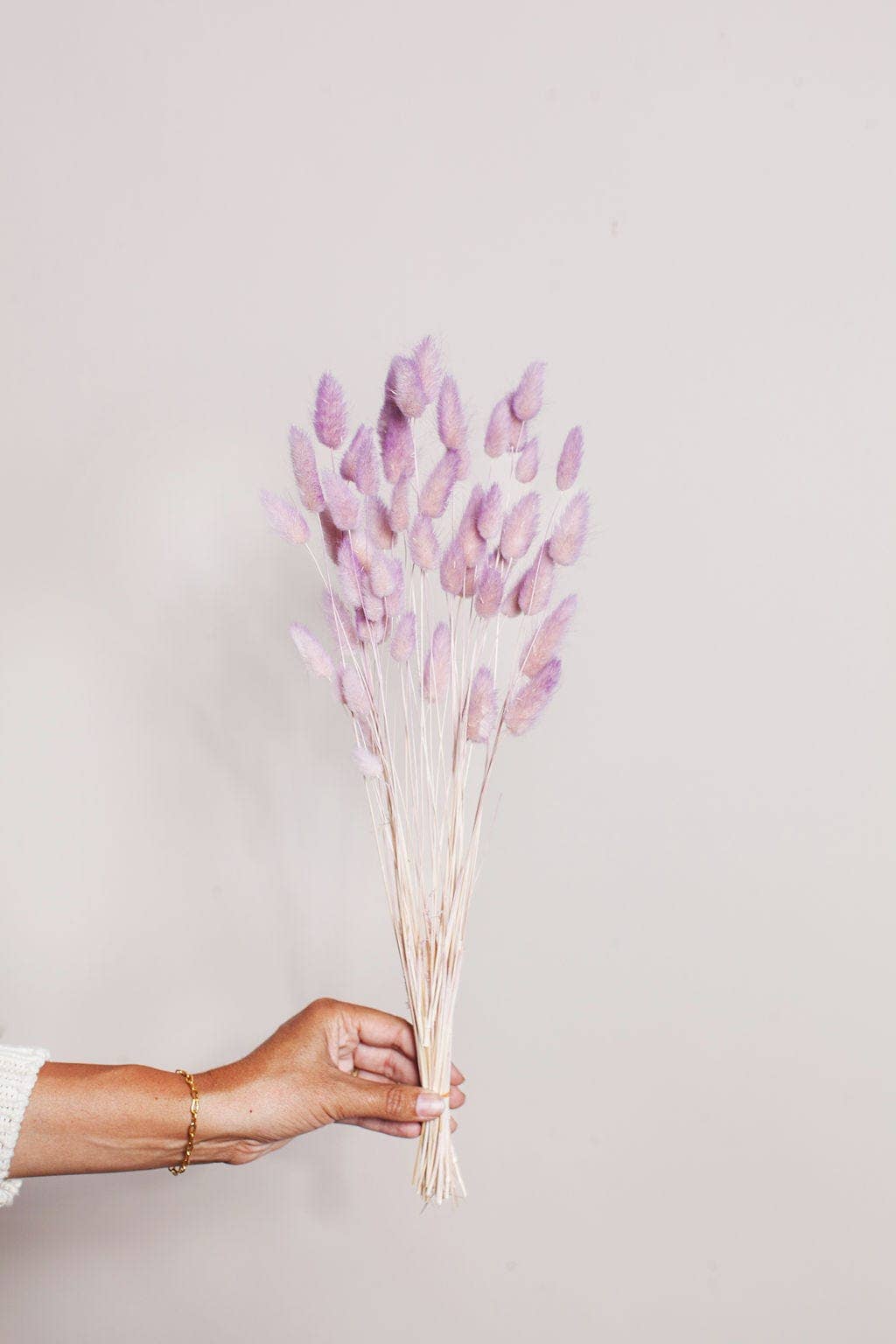 Preserved Two Tone Lavender Blush Bunny Tail (1 stem)