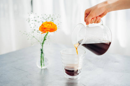 HARIO USA - "Simply Hario" V60 Glass Brewing Kit 600mL