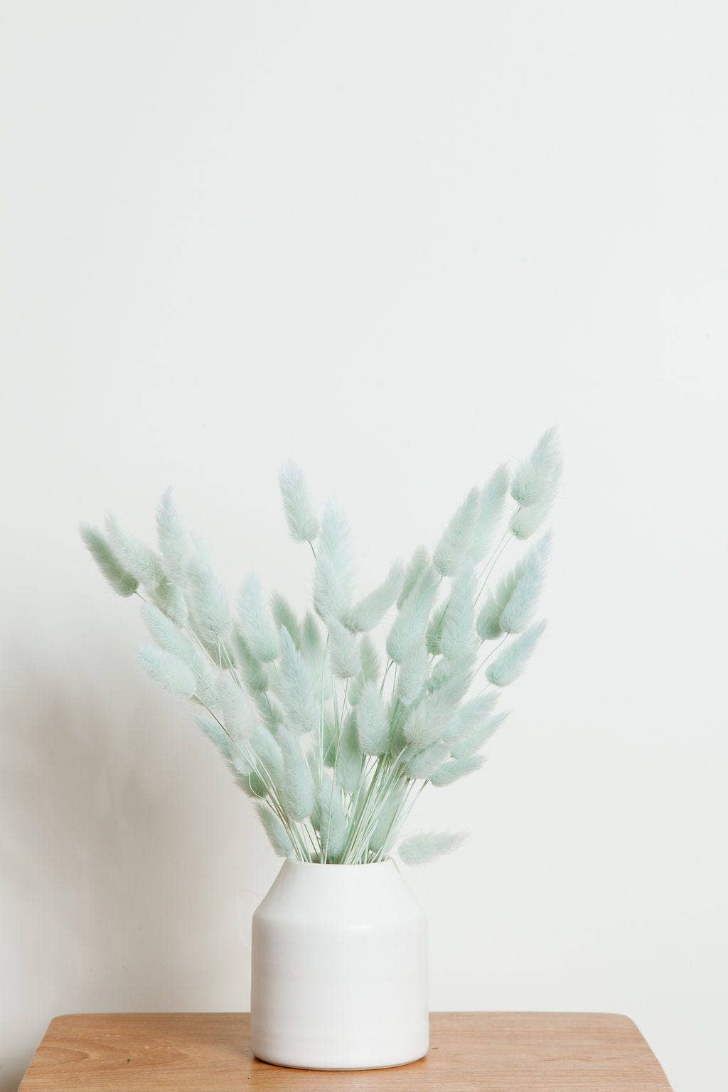 Preserved Blue Bunny Tail (1 stem)