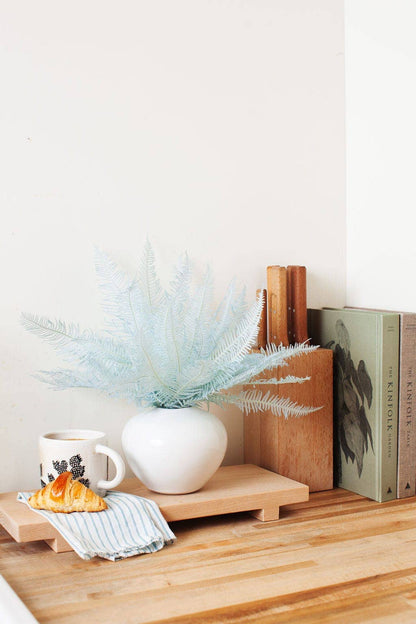 Preserved Baby Blue Star Fern (1 stem)