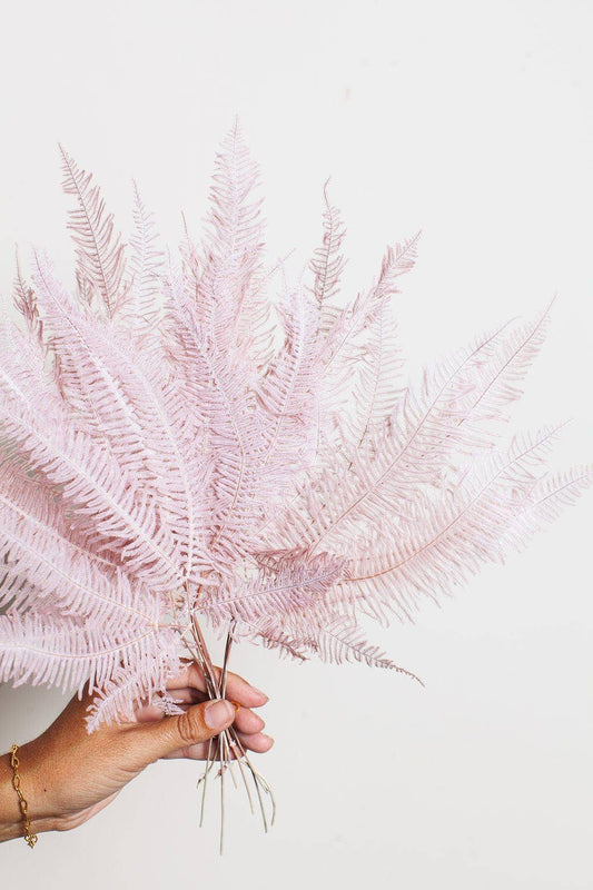 Preserved Mauve Star Fern