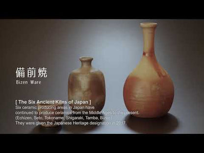 Bizen Yaki Artist-Mori Toshiaki Handmede ceramic Cup and Saucer