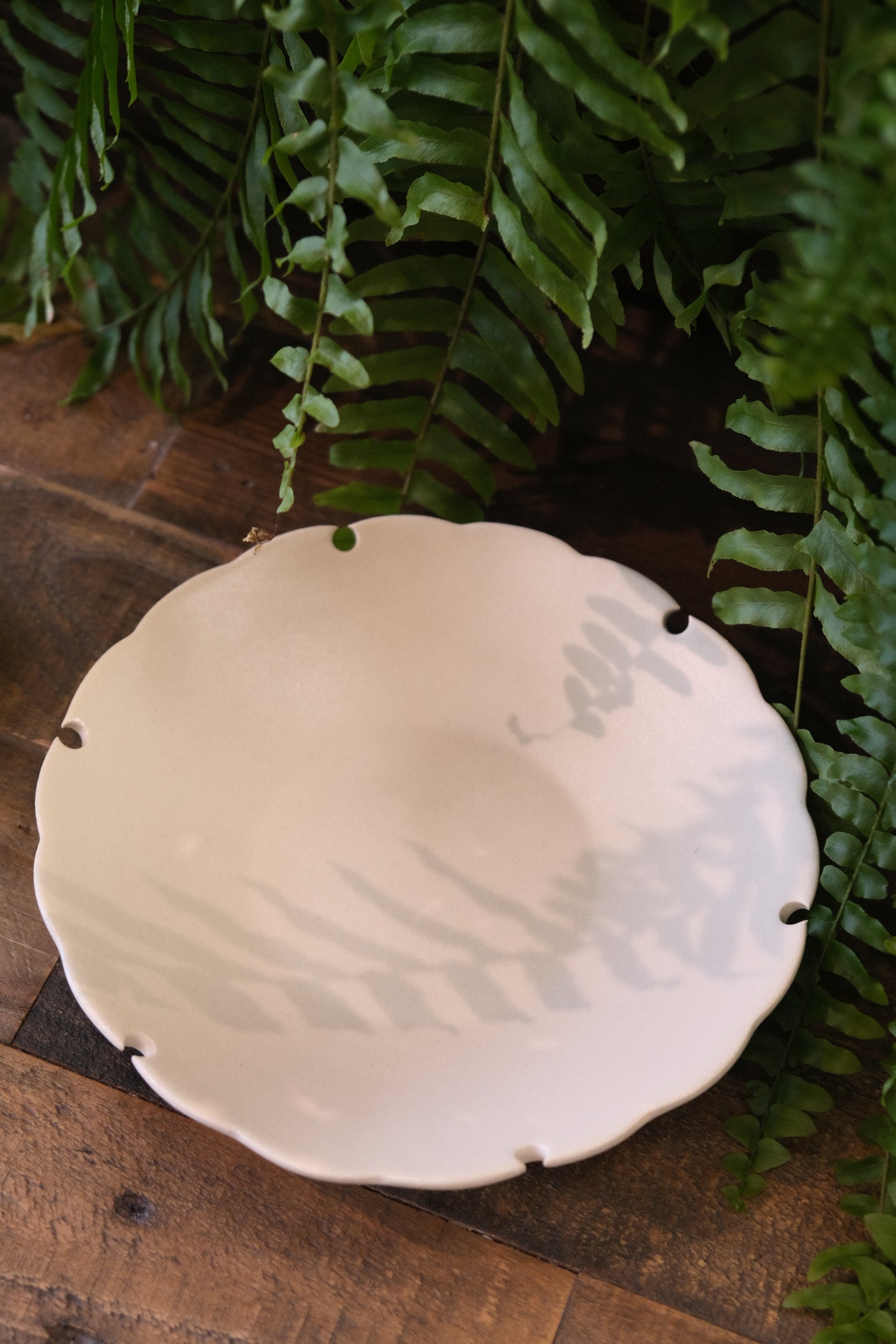 Yoshida Pottery Yukiwa Plate (White)