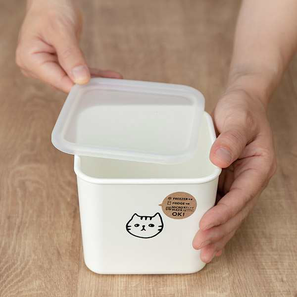 CUTE DESIGN FOOD CONTAINER BOX (CAT)